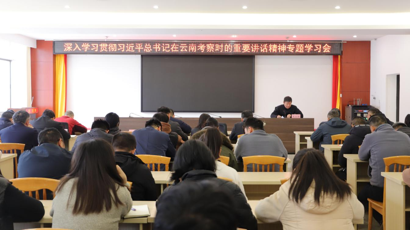 公司（院）党委召开深入学习贯彻习近平总书记在云南考察时的重要讲话精神专题学习会